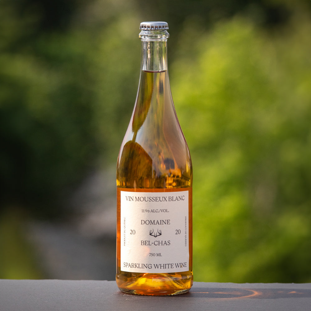 Pétillant Blanc